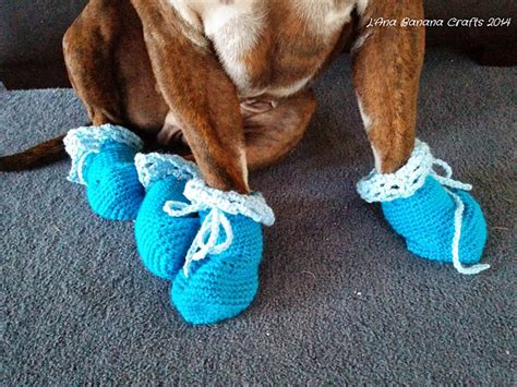 dog boots pattern free|knitting pattern for dog booties.